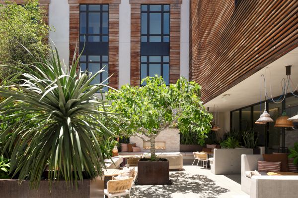 A modern outdoor patio with lush plants, wooden accents, and seating areas. Large windows and hanging lights complete the setting.