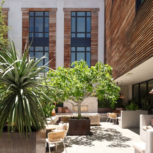 A modern outdoor patio area with plants, wooden elements, and seating areas surrounded by a contemporary building structure.