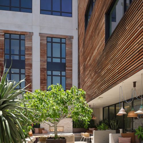 Courtyard with modern seating, lush plants, a central tree, and pendant lights, surrounded by a multi-story building with wooden accents.