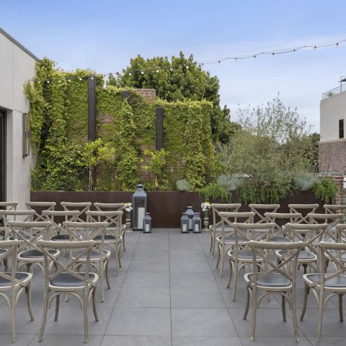 An outdoor setup with rows of chairs facing a green wall, plants, and decorative lanterns on a terrace under string lights in a city setting.
