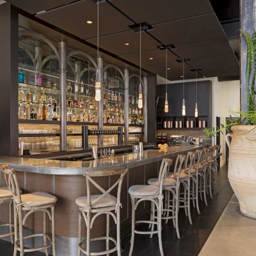 A stylish bar with tall shelves of bottles, seating with high chairs, and decor includes plants in a large vase.