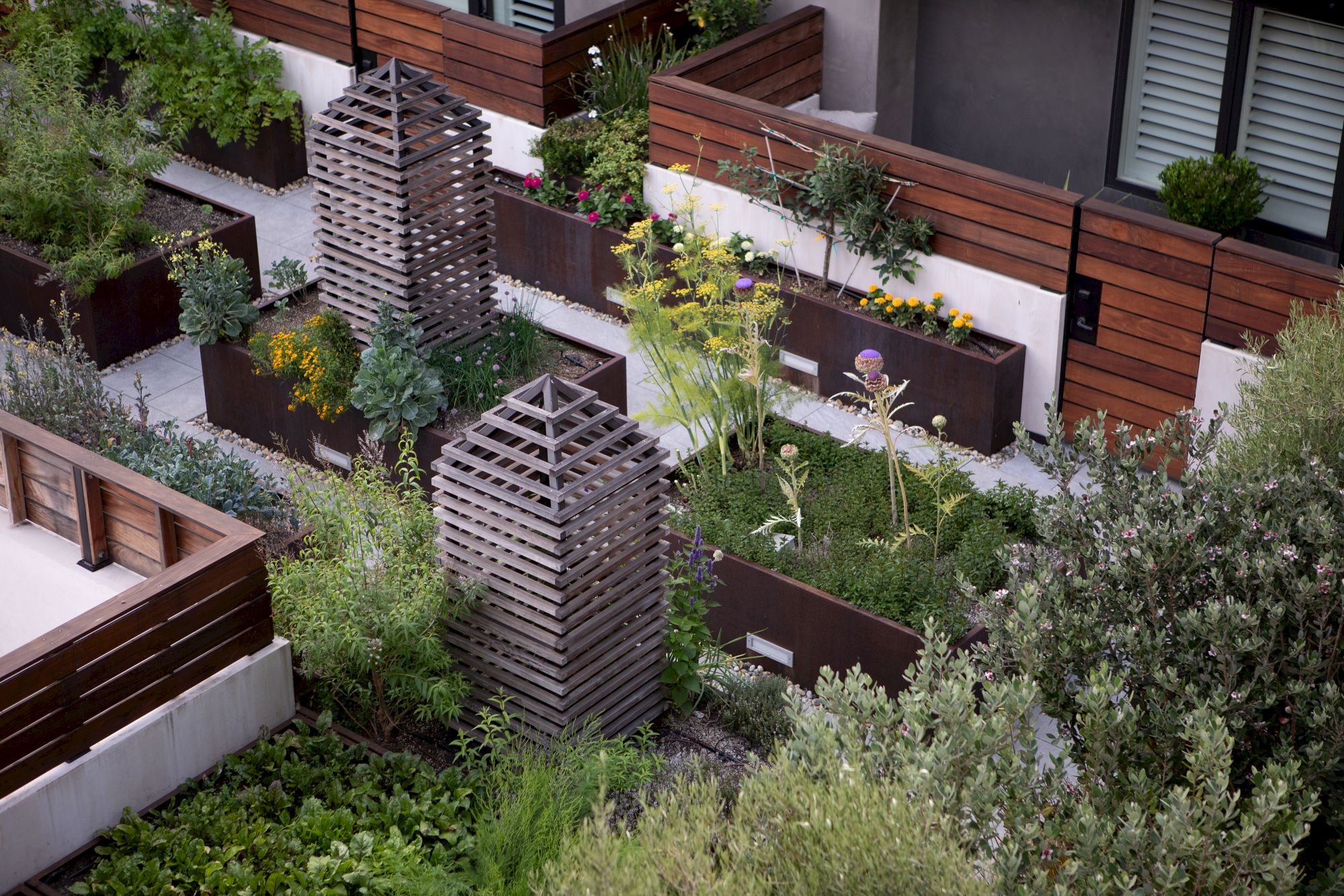 A rooftop garden with raised planters, wooden lattice structures, and various green plants and flowers, enclosed by wooden fencing.