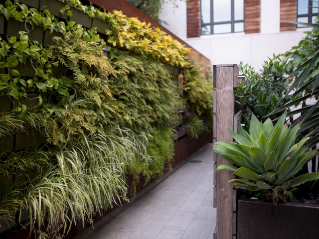 The image shows a wall adorned with vertical greenery and plants, leading to a narrow path with more lush vegetation on the right side.