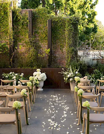 An outdoor ceremony setup with wooden chairs, scattered petals, and white flowers beside a lush ivy wall and garden greenery.